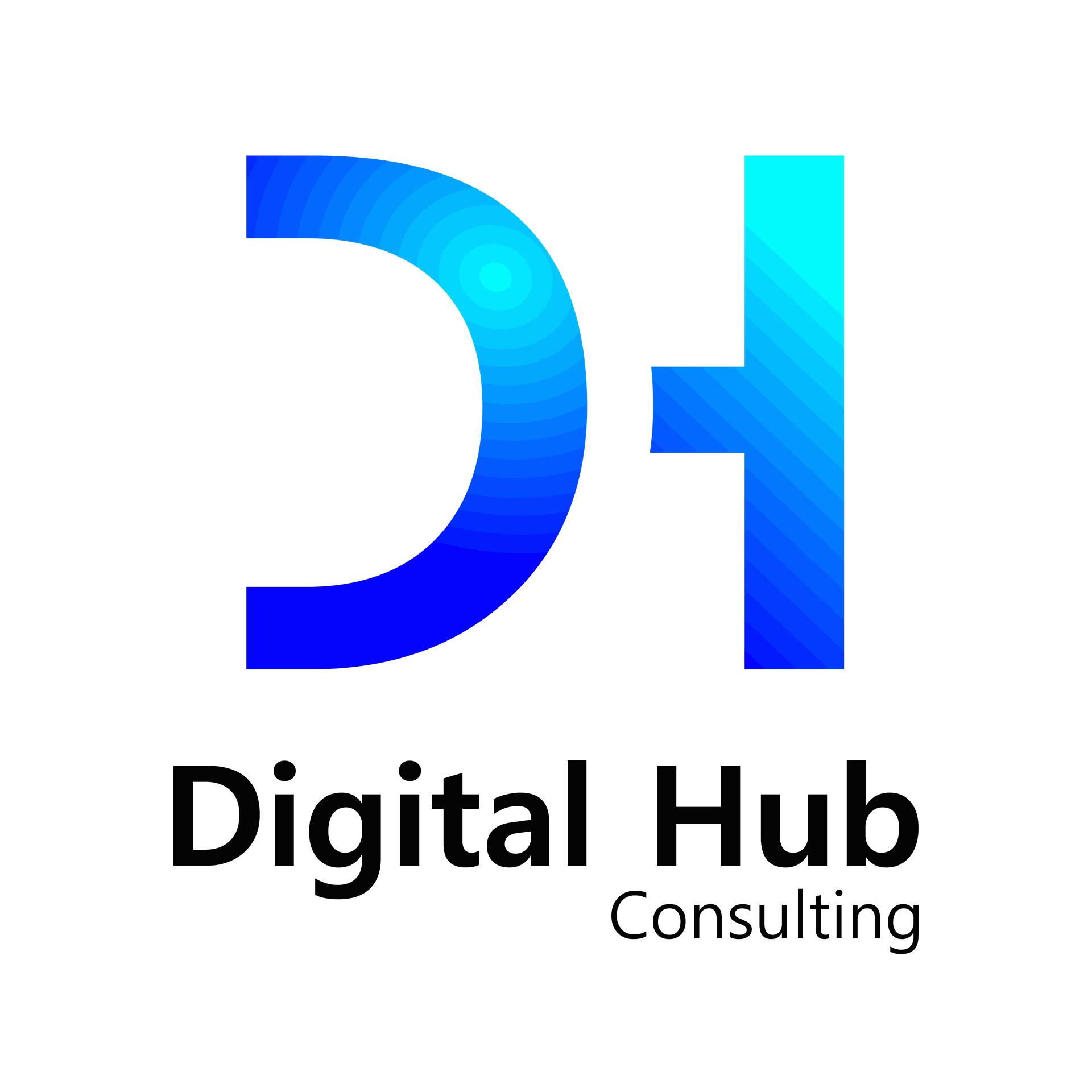 Home | Digital Hub Consulting